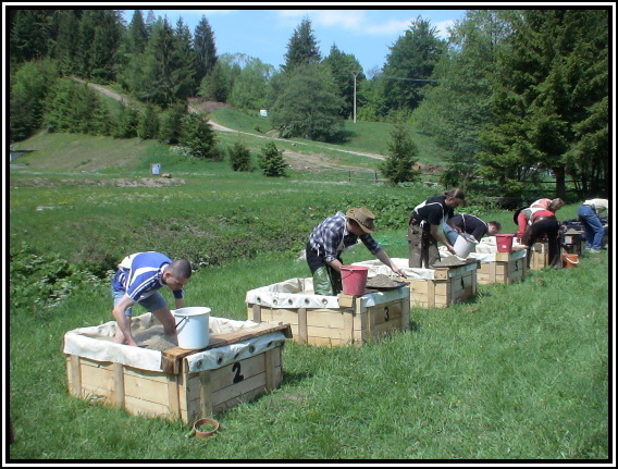 Banskobystrick zlatinka