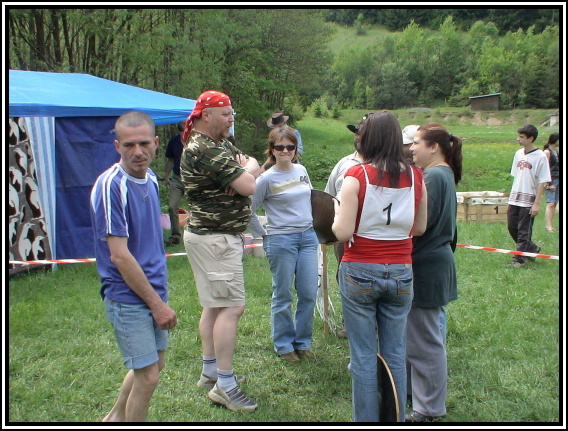 Banskobystrick zlatinka