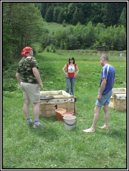 Banskobystrick zlatinka