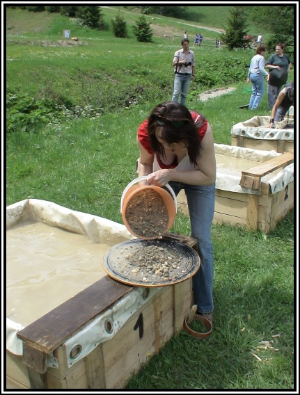 Banskobystrick zlatinka