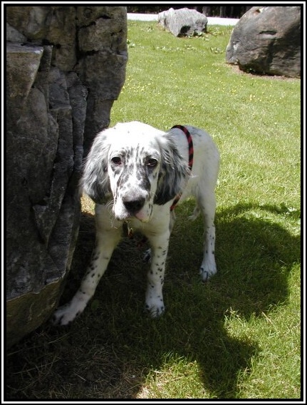 Teplo i pre Afru ...