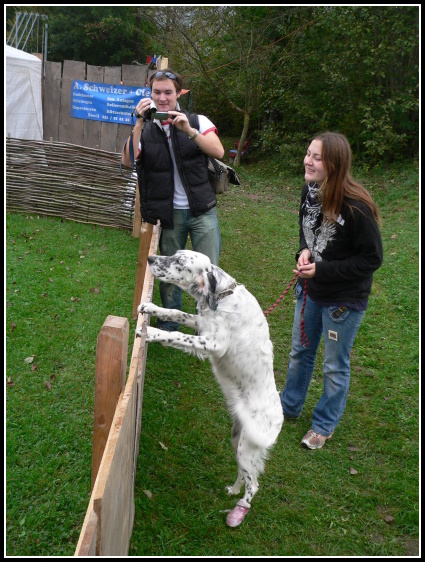 Majstrovstv vajiarska 2007