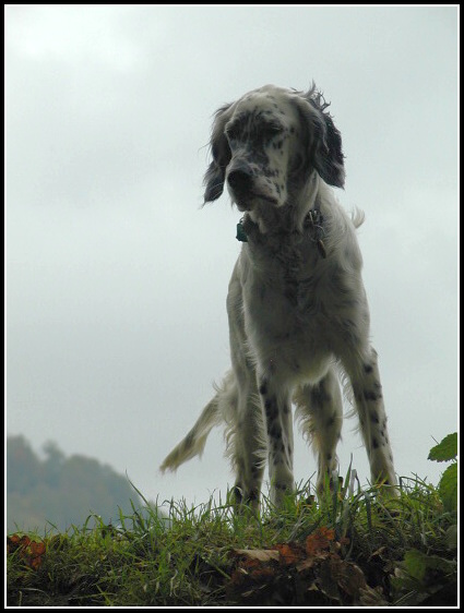 Majstrovstv vajiarska 2007