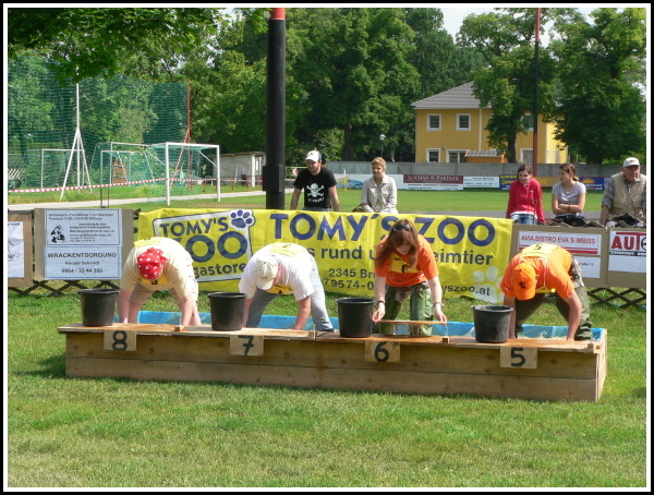 Majstrovstv Rakska 2008 - Unterwaltersdorf