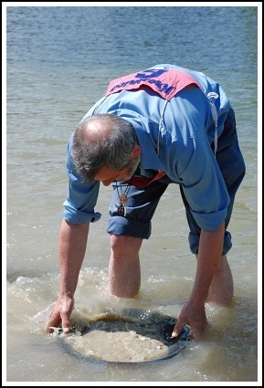 Kremnick zlatinka 2008