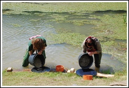 Kremnick zlatinka 2008