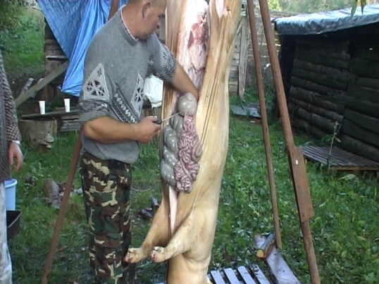 Mo�no bude aj �in�ulinec