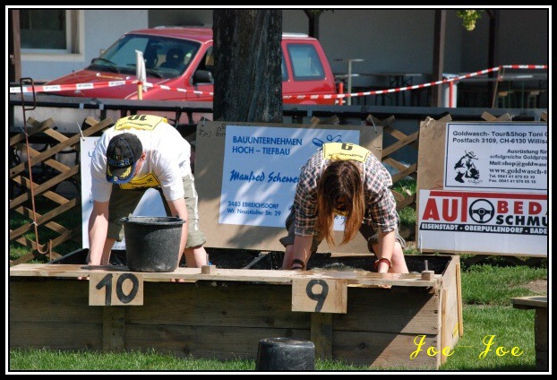 Majstrovstv Dolnho Rakska 2009