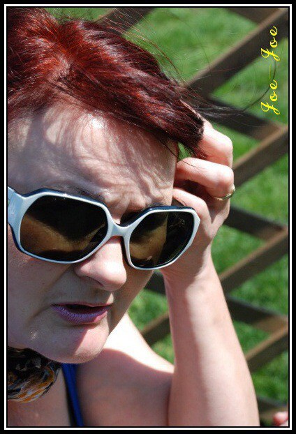 Majstrovstv Dolnho Rakska 2009