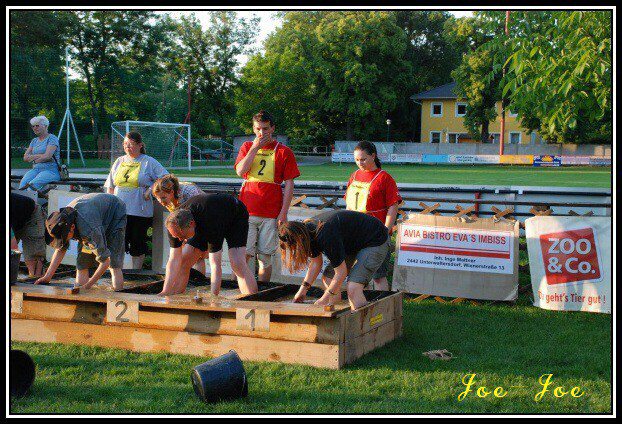 Majstrovstv Dolnho Rakska 2009