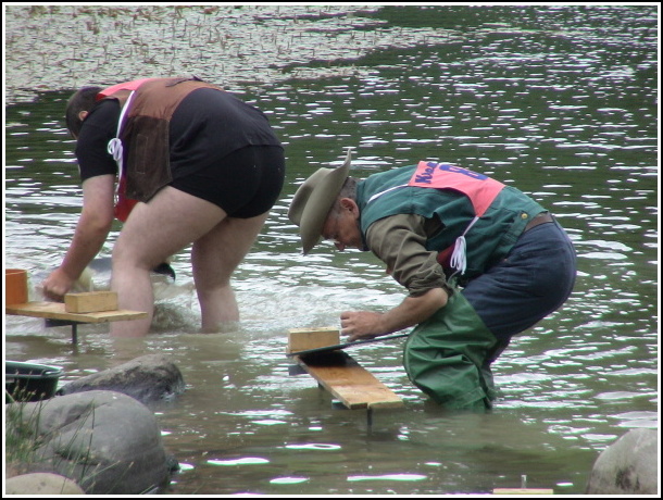 Kremnick zlatinka 2009