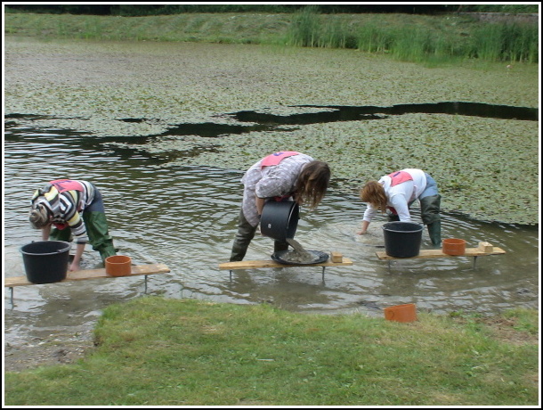 Kremnick zlatinka 2009