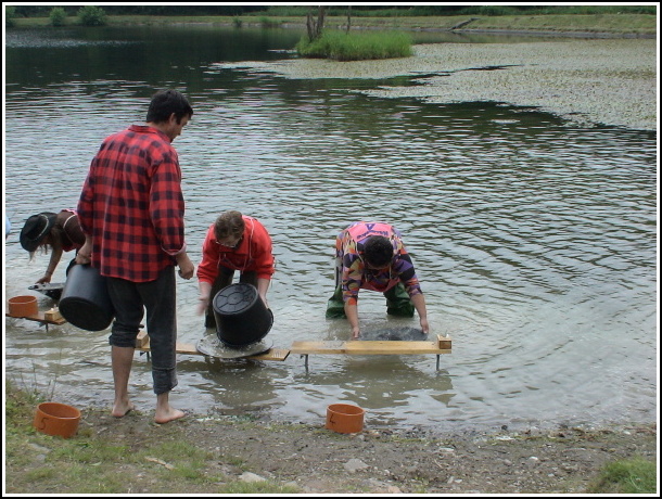 Kremnick zlatinka 2009