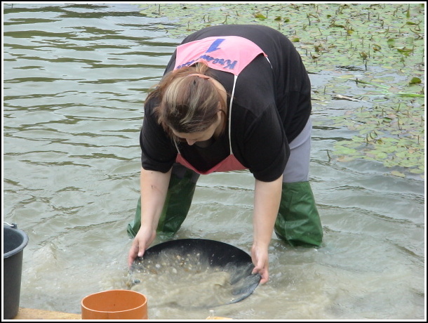 Kremnick zlatinka 2009