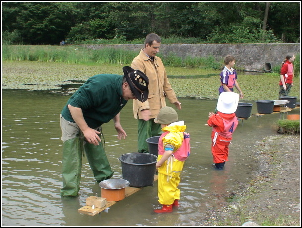 Kremnick zlatinka 2009