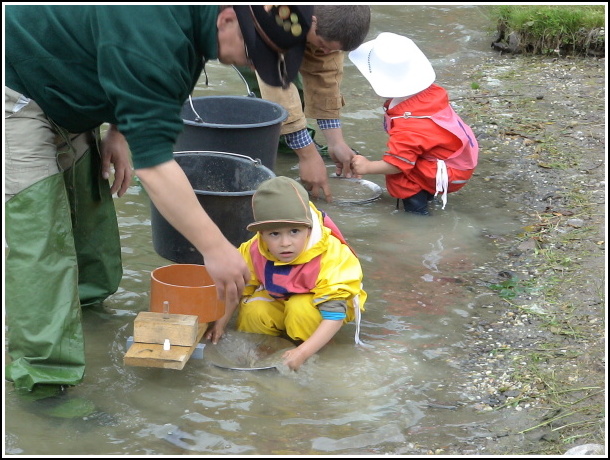 Kremnick zlatinka 2009