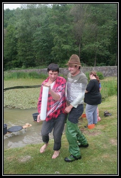 Kremnick� zlatinka 2009