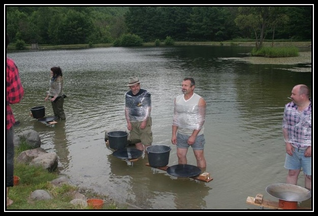 Kremnick� zlatinka 2004