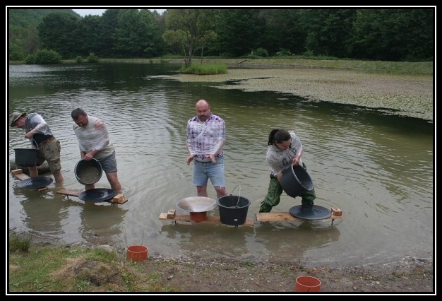 Kremnick zlatinka 2009