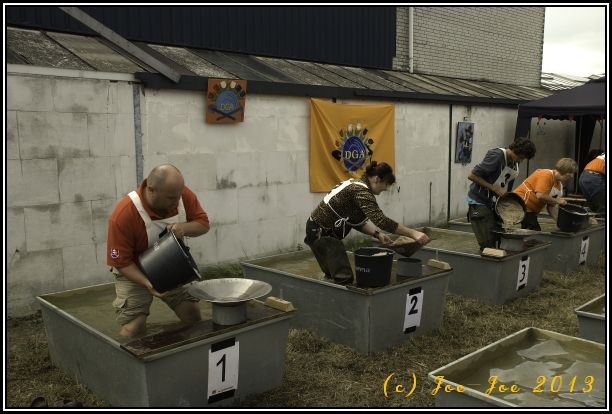 NL 2013