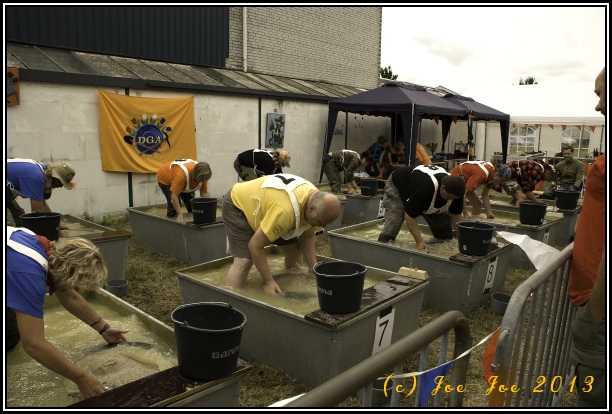 NL 2013