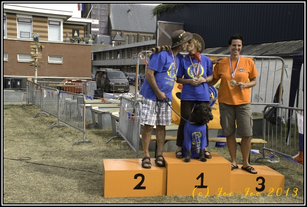 NL 2013