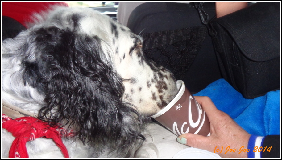 Majstrovstv sveta 2014, Koppaberg, vdsko